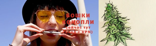 ПСИЛОЦИБИНОВЫЕ ГРИБЫ Арсеньев