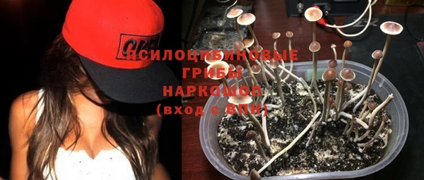 стафф Армянск