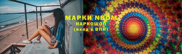 ПСИЛОЦИБИНОВЫЕ ГРИБЫ Арсеньев