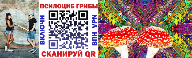 цены наркотик  Шлиссельбург  Псилоцибиновые грибы мухоморы 